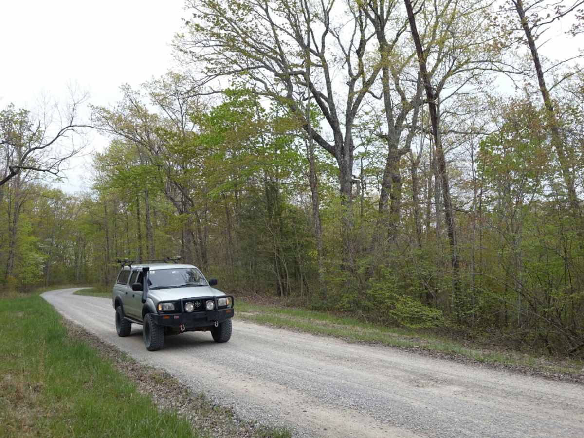 Dolan Mountain photo 4