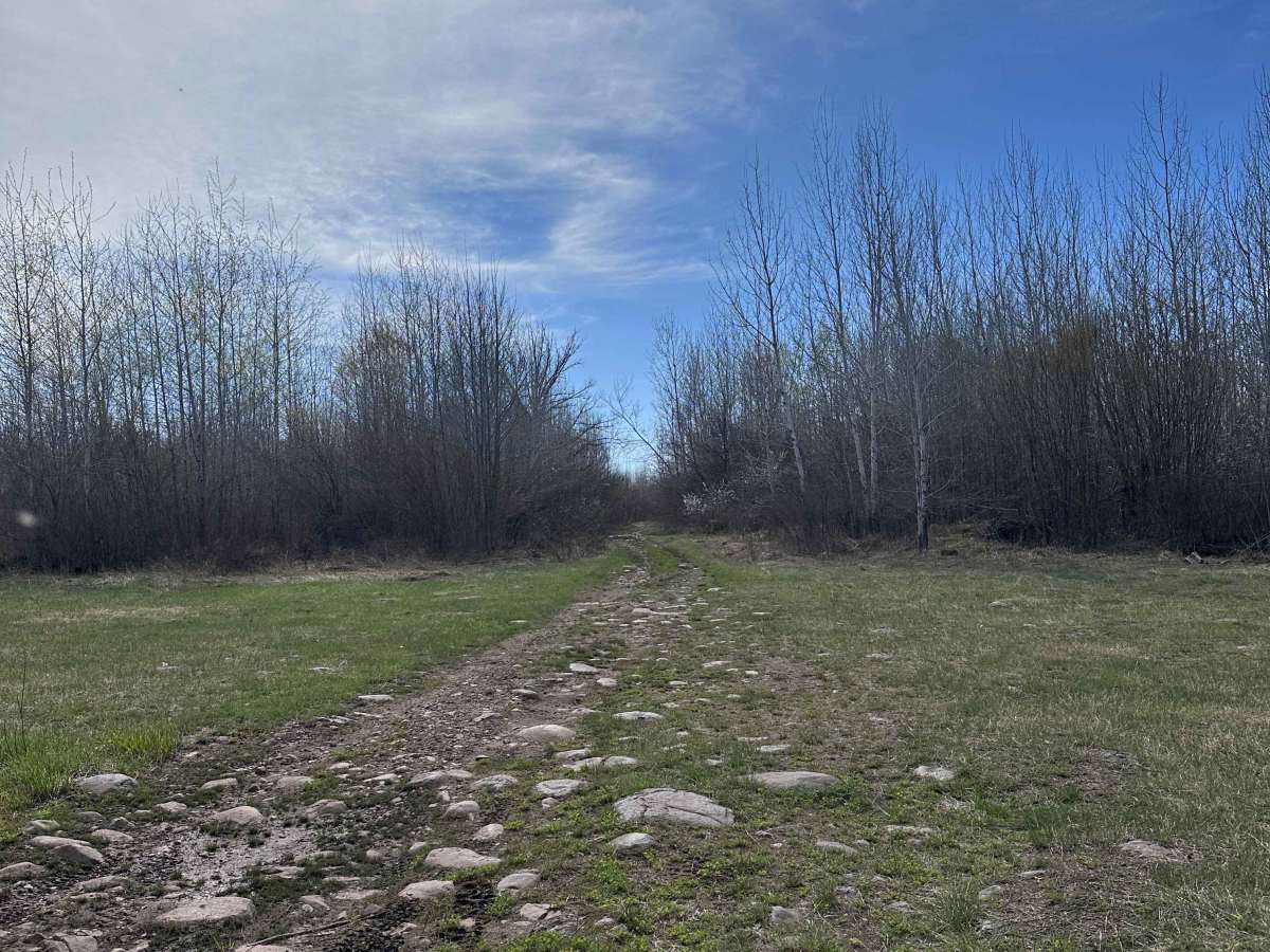 Mallard Lake Spur B photo 3