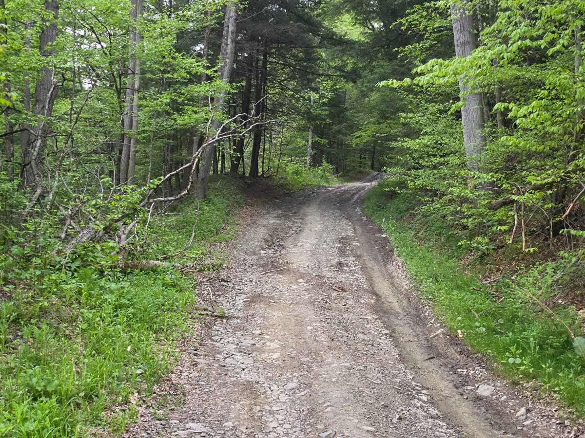 Steve Russell Hill Road trail photo
