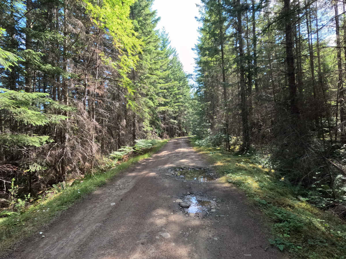 FS 2878120 photo 2