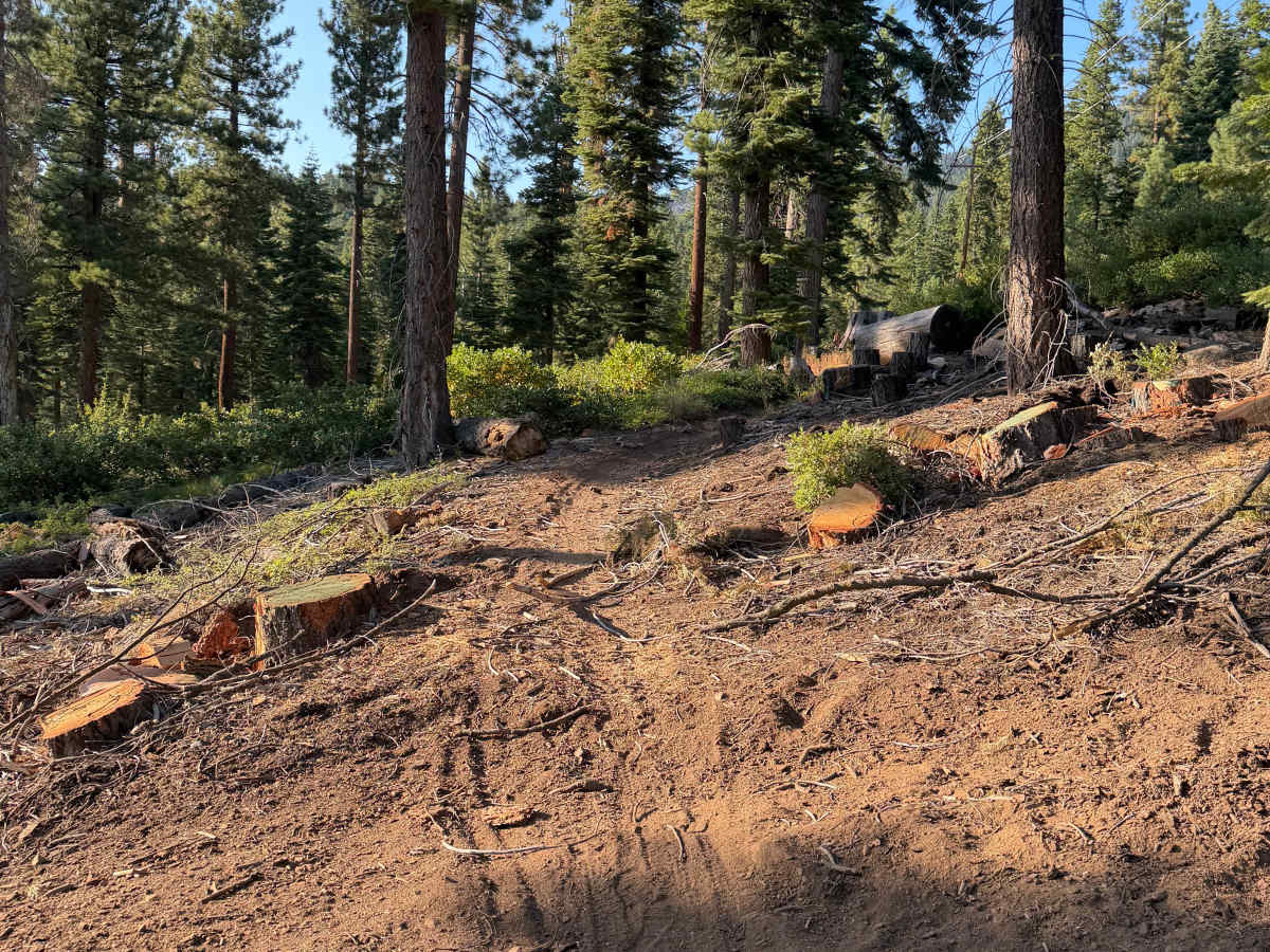Powerline photo 5