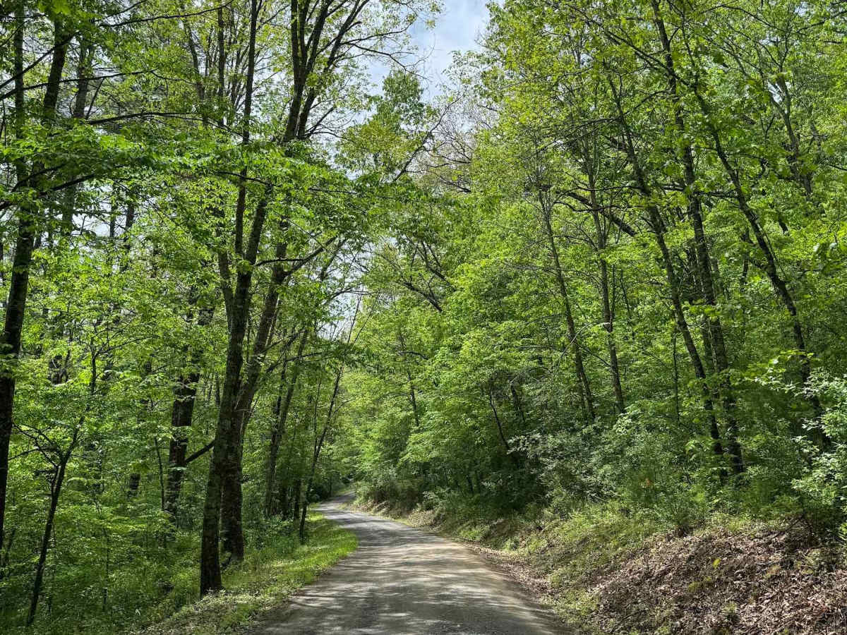 Hidden Valley Road photo 5