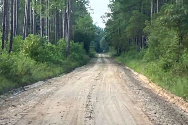 Log Lake Road - FS Y13