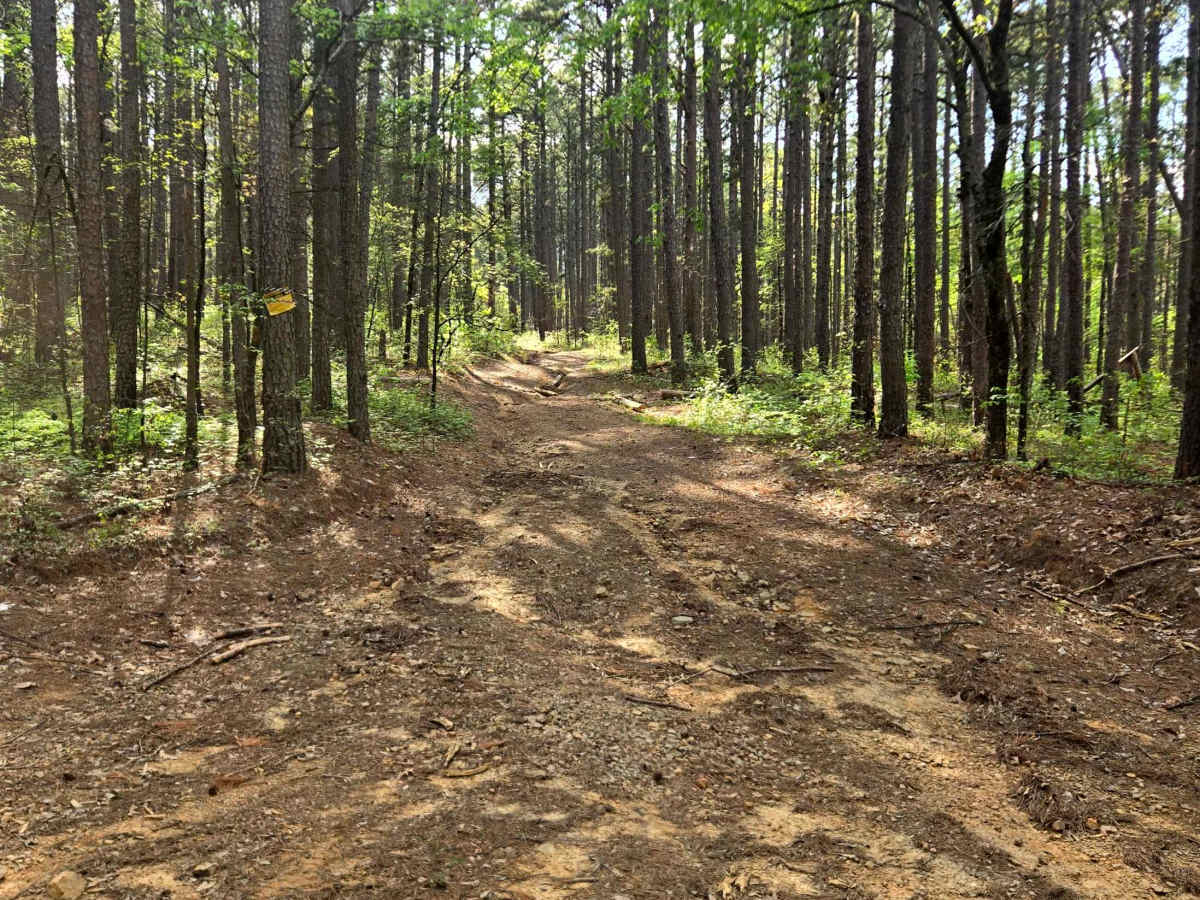 River Ridge photo 6