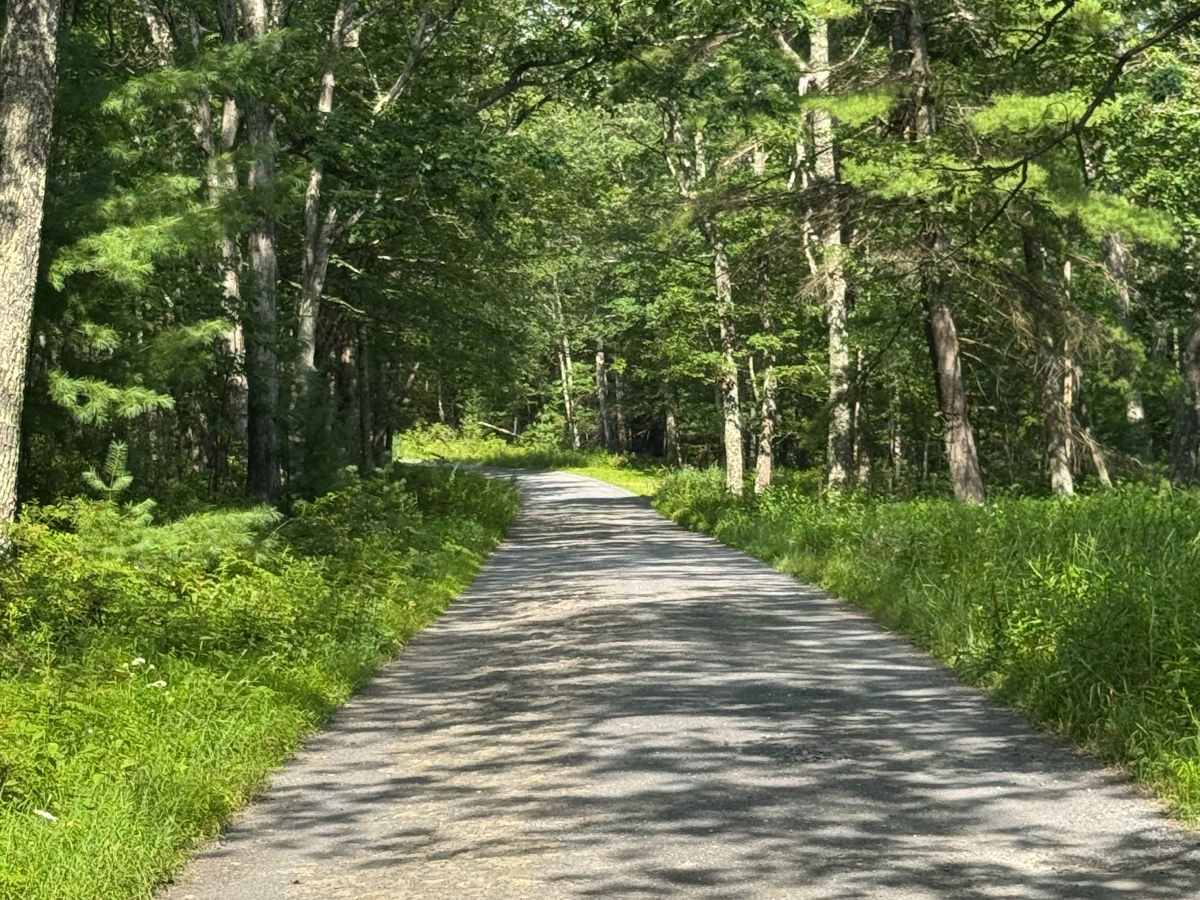 Silver Springs Road photo 5