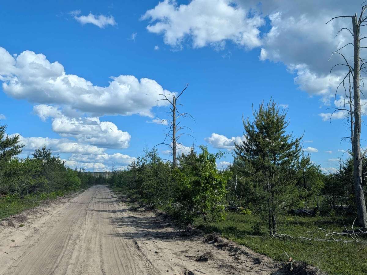 Pheasant Trail photo 5