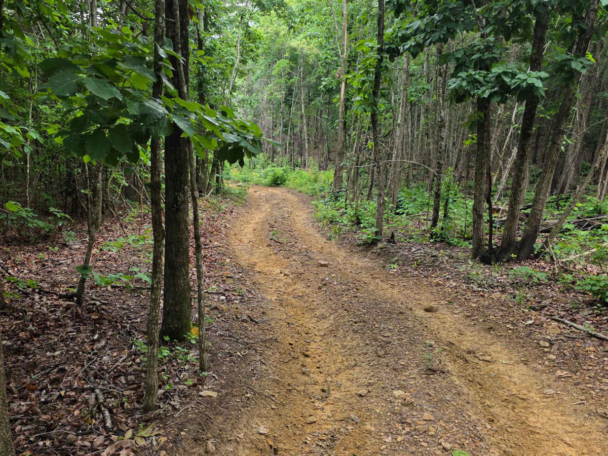 Jack's Luck trail photo