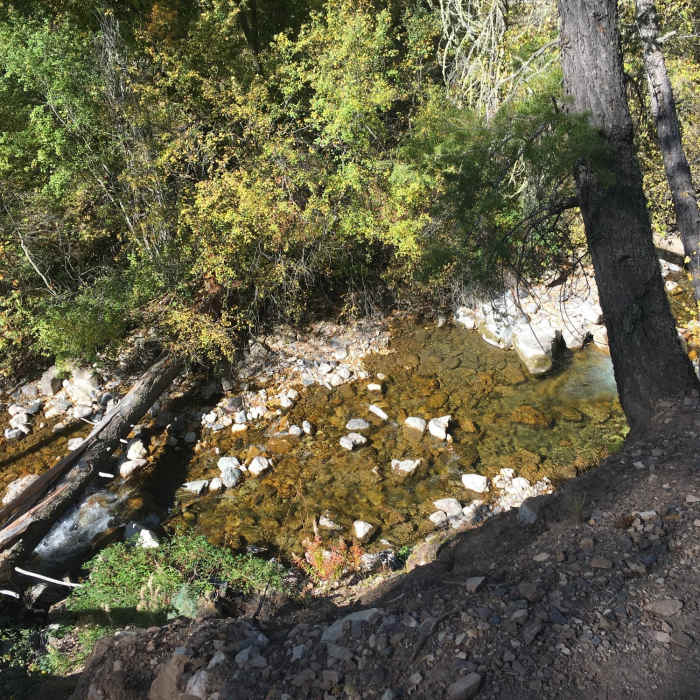 A few slide areas to be mindful of on Grizzly Creek Trail Near Grizzly Creek Trail #2065