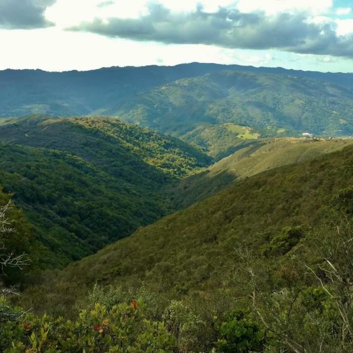 Near Priest Rock Trail