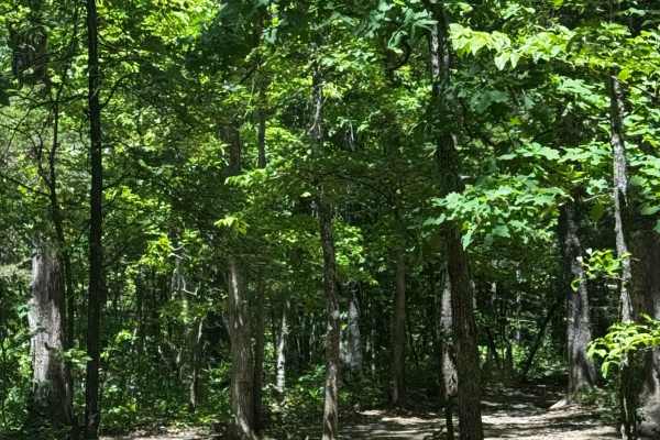 Perimeter Trail
