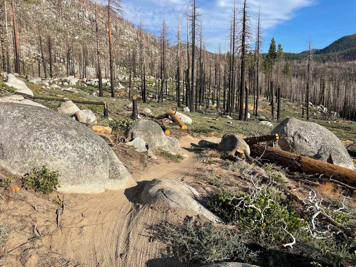 Sierra Sidewinder Trail photo 3