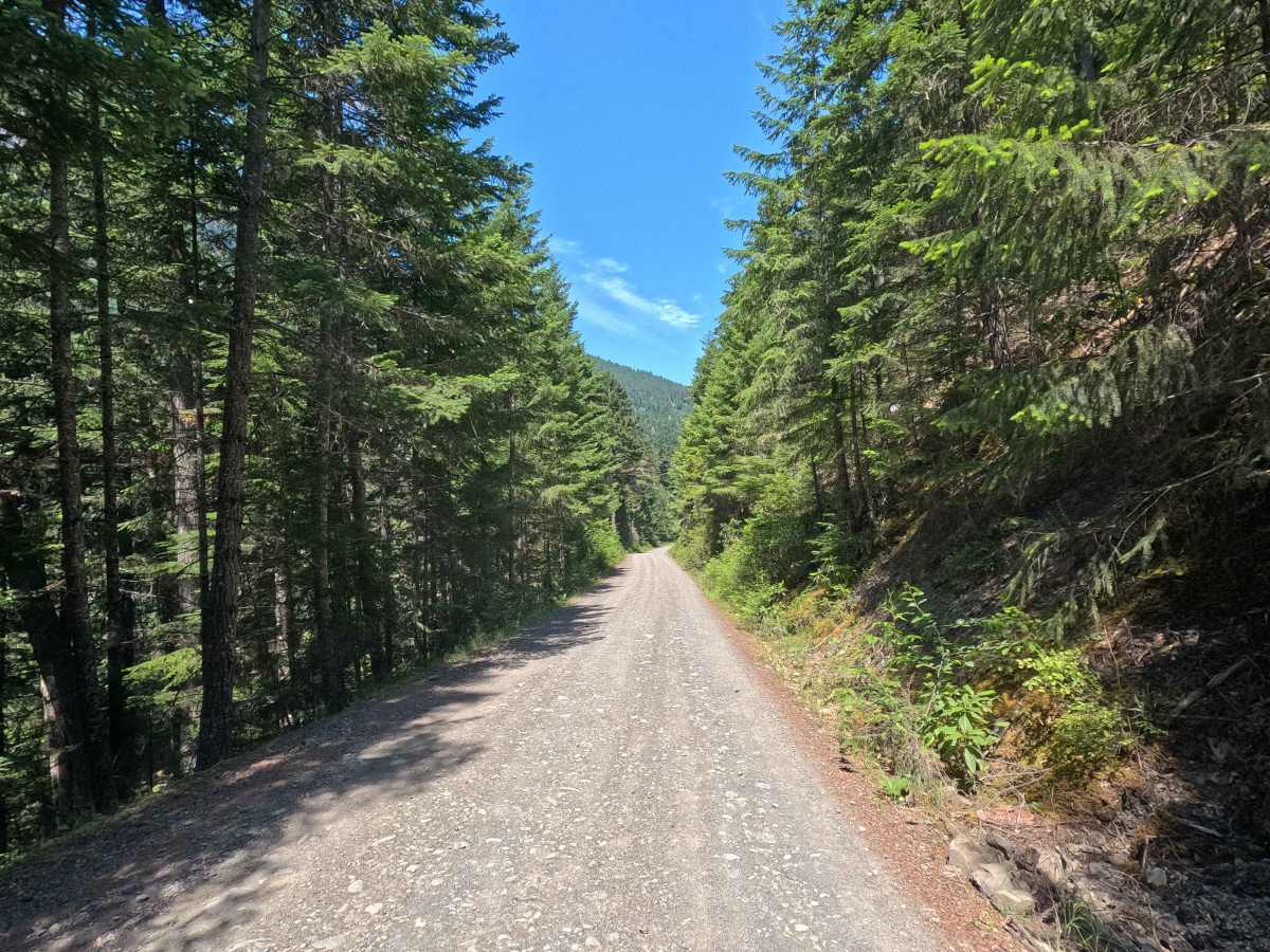 Upper Dunegeness Fork - FS 2870 photo 2