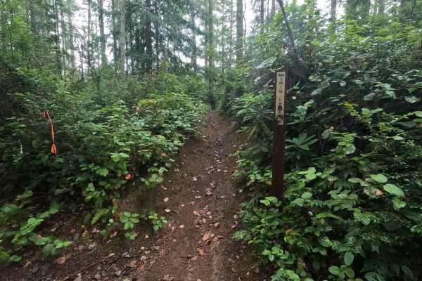 Twin Lakes Trail