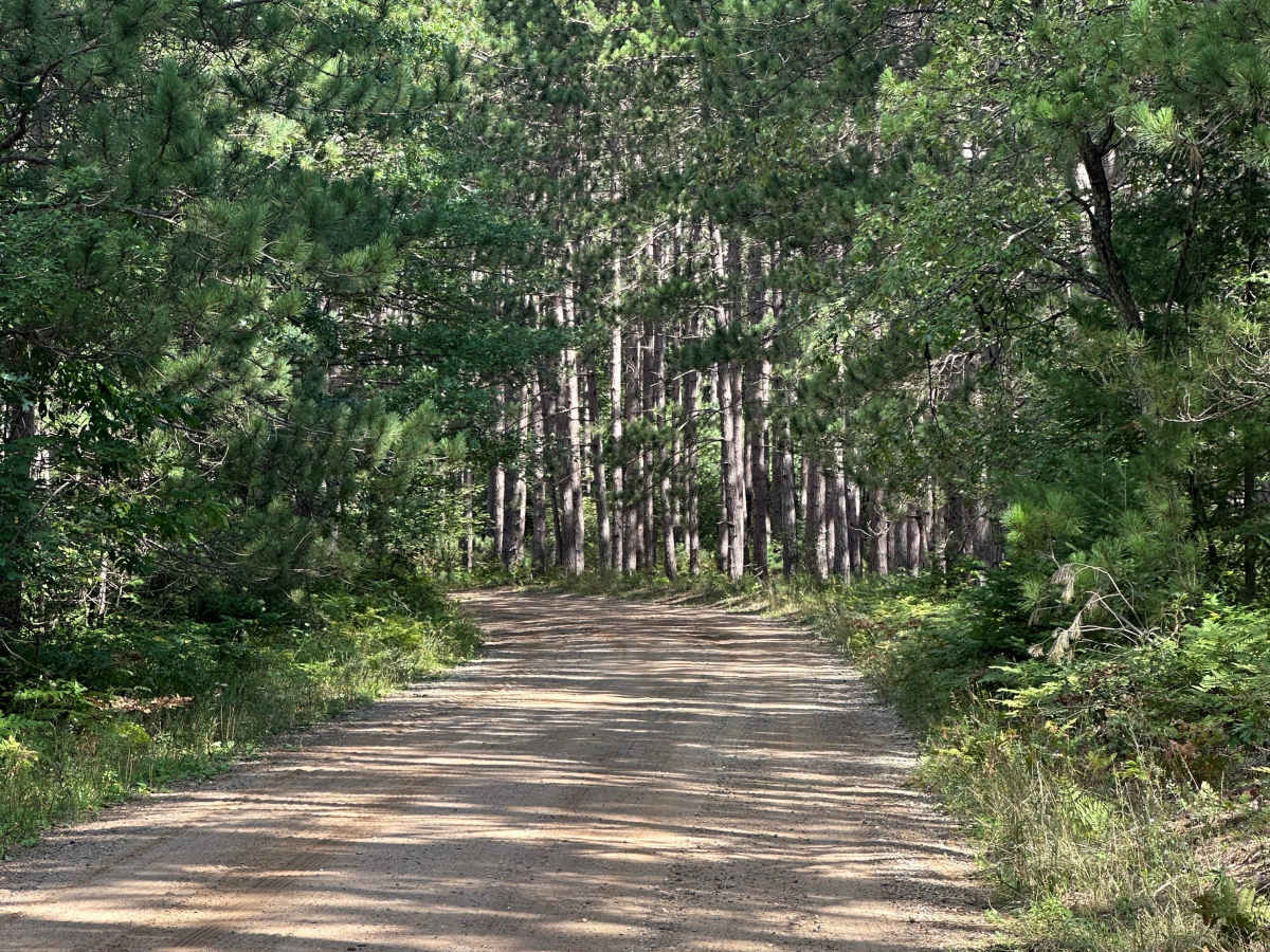 Dolph Road  photo 4
