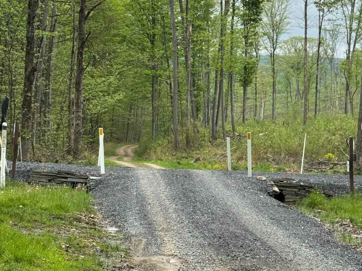 Whitman Road photo 3