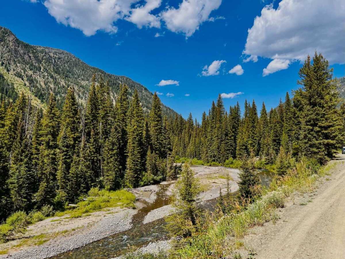 Beaver Creek Gallatin Forest photo 2