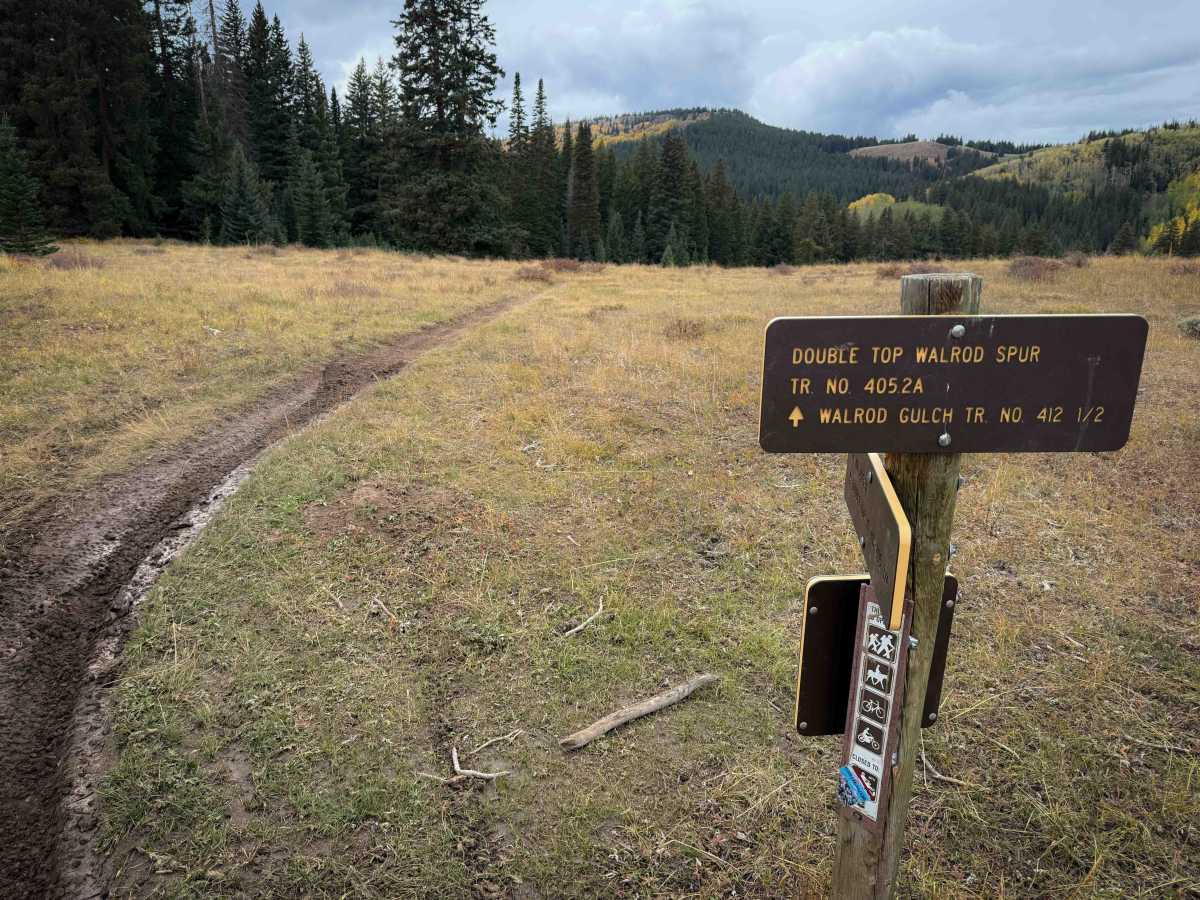 Doubletop Walrod Spur Trail 405.2A photo 6