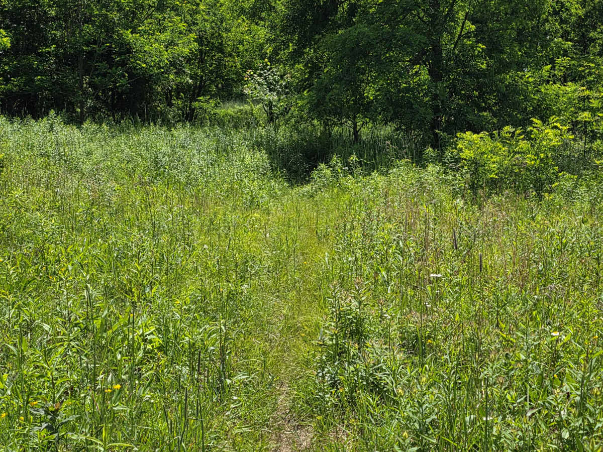 Single Track NB photo 3