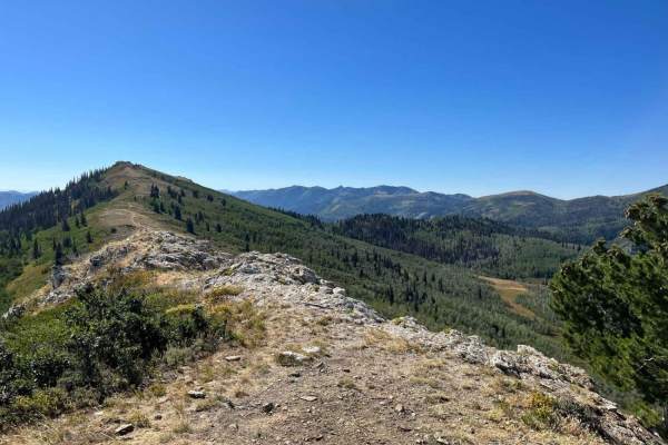 Gold Hill