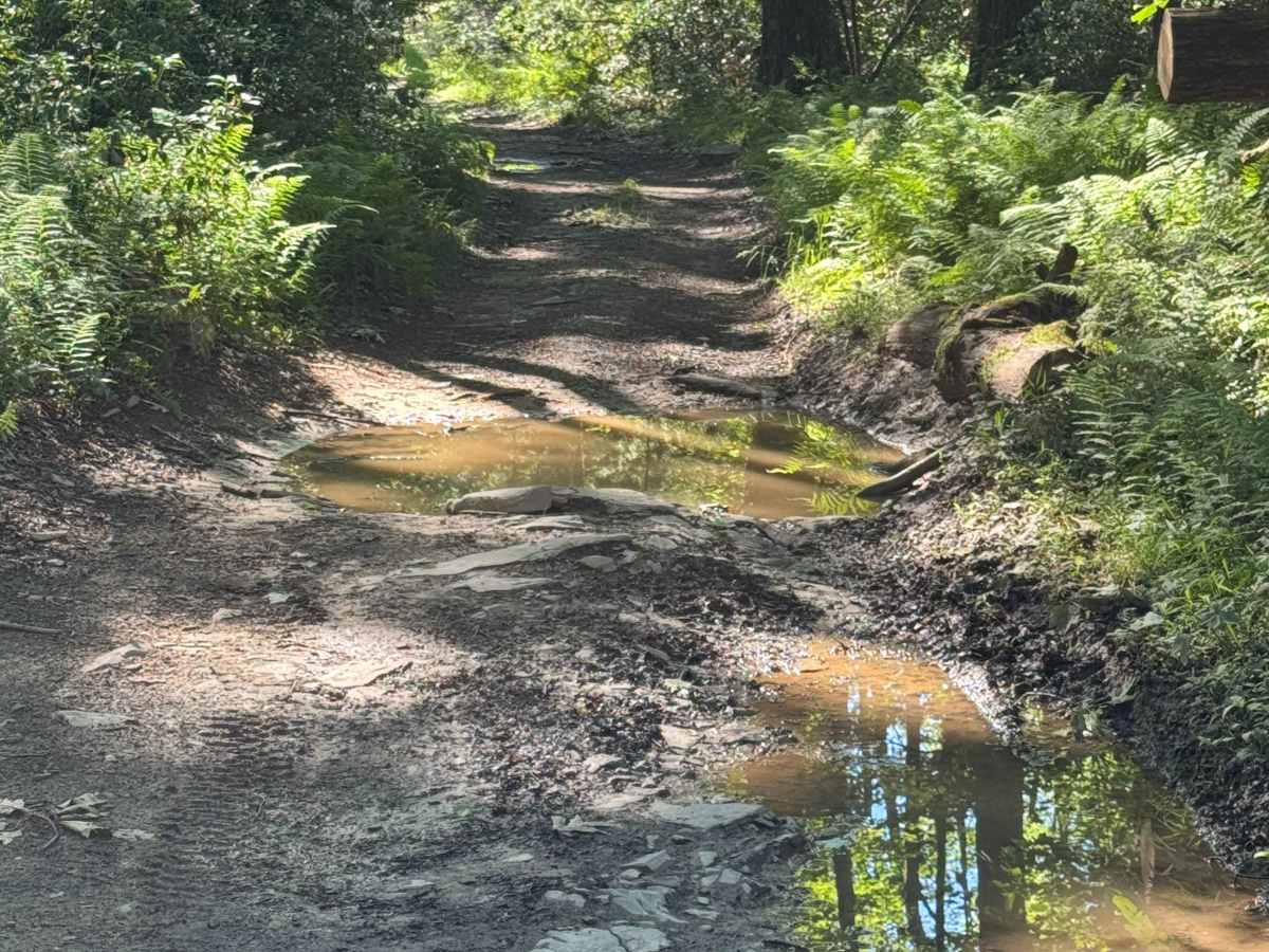 Pipeline Trail photo 6