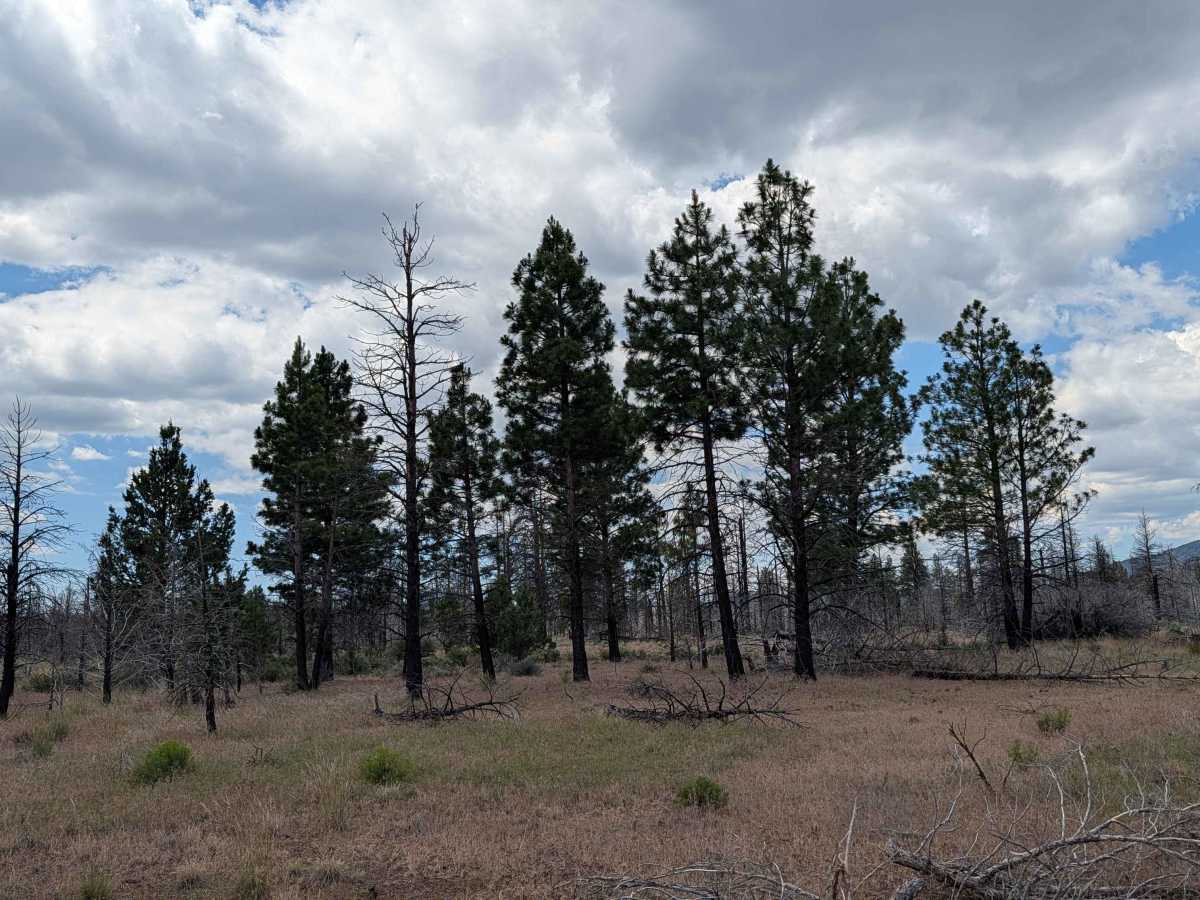 Porterfield Ranch photo 4
