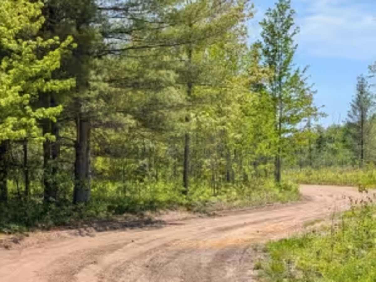 North Missaukee Route (section 4) photo 2