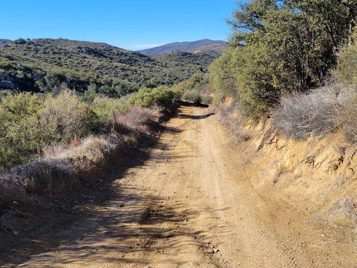 Bear Valley Road photo 4