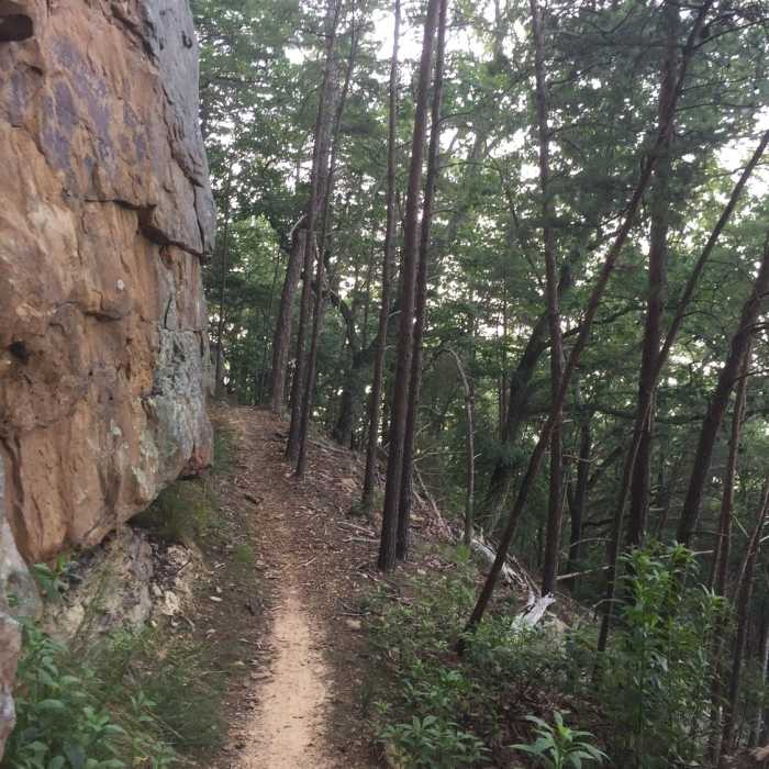 When climbing High Voltage, this is the section where you should think: "Get skinny!" This is also right before the climbing really gets tough. Near Laurel Point Trail