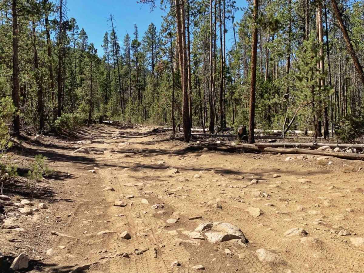 Yellow Belly Lake and Hiking Trails trail photo