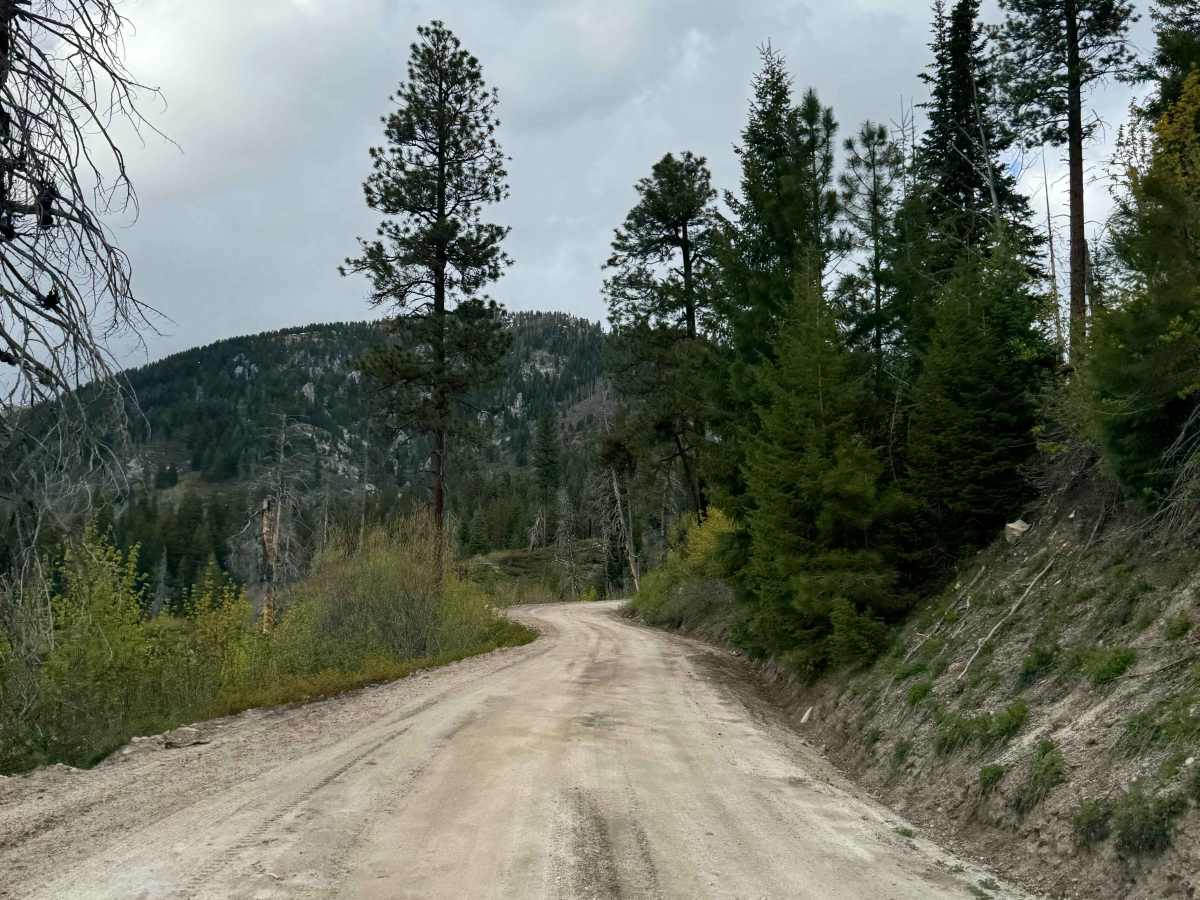 Phifer Creek Pass photo 4