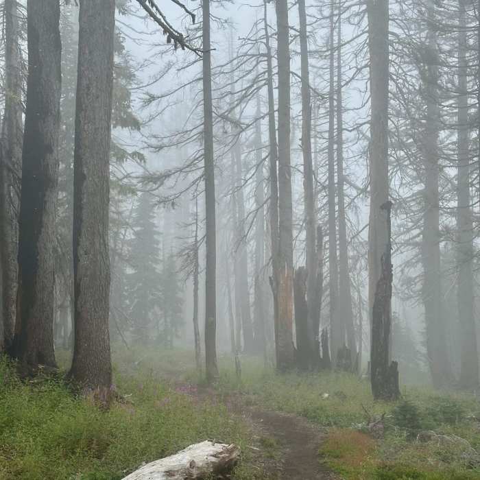 Near Pacific Crest Trail: Mount Jefferson Wilderness