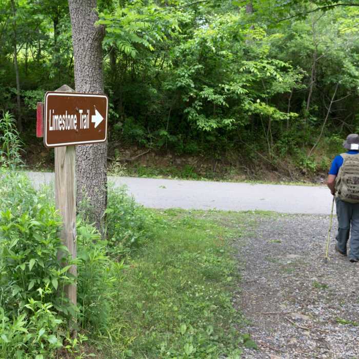 Near Limestone Trail