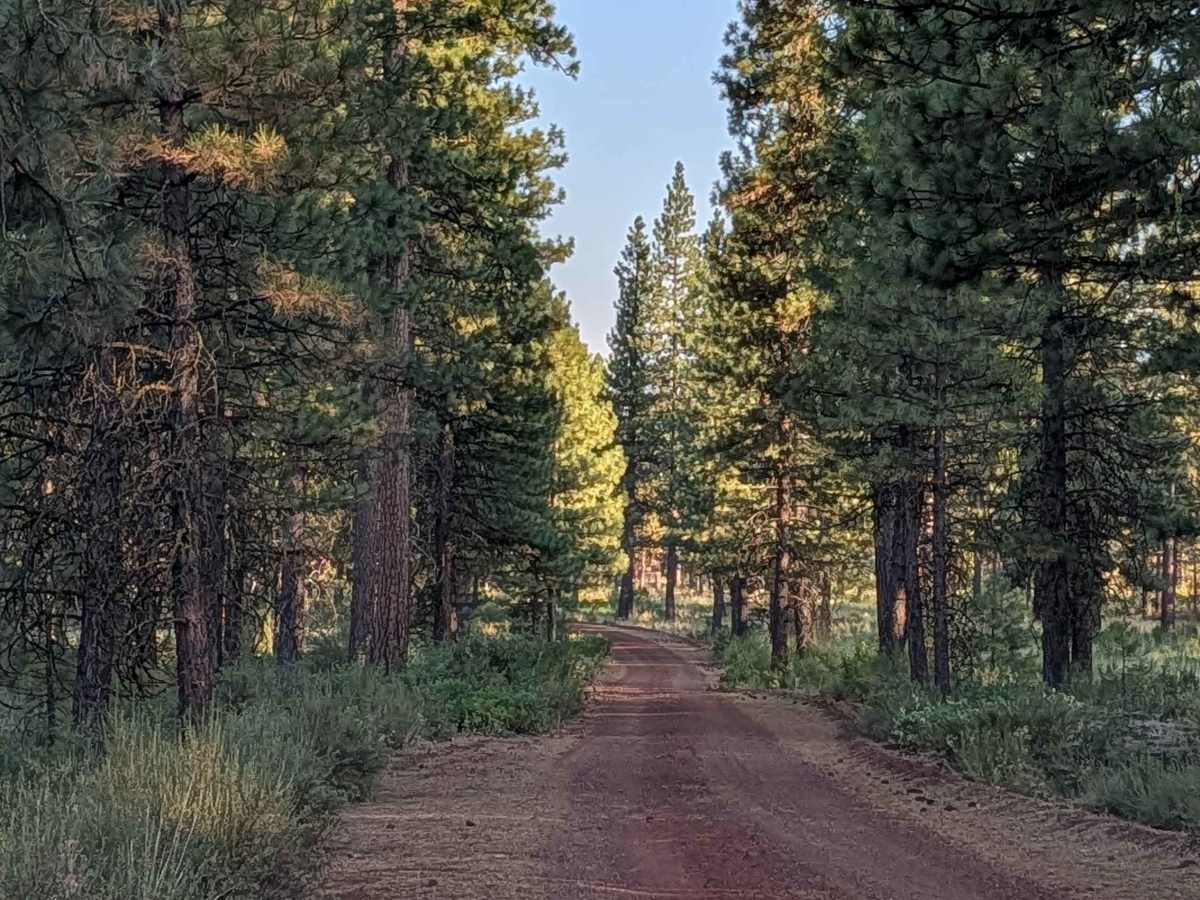 Porcupine Butte South - FS 41N36 photo 5