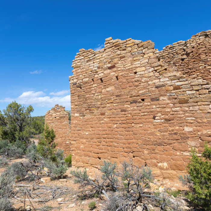 Holly House Near Holly Trail