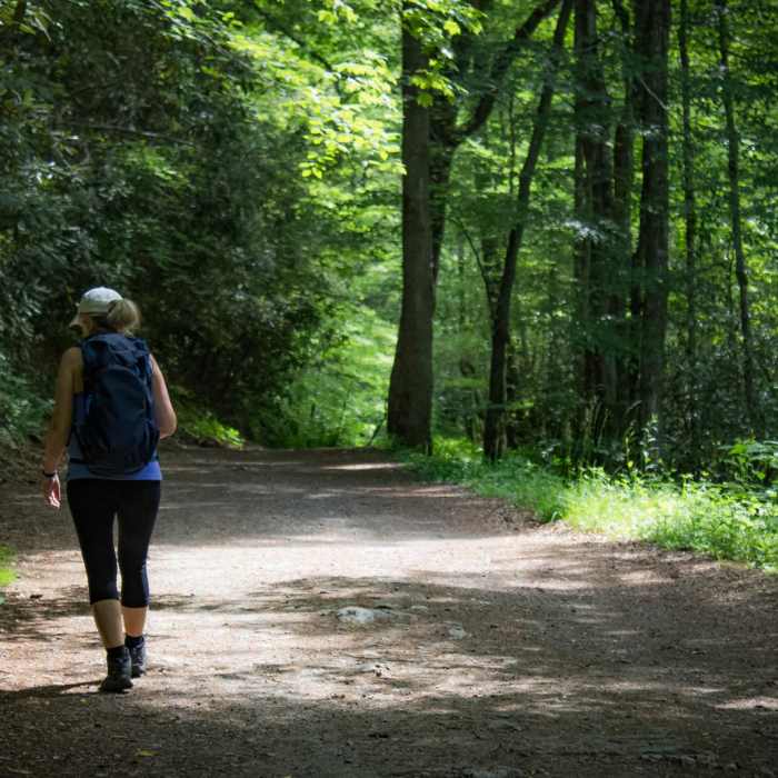Near Schoolhouse Gap Trail to White Oak Sinks Near Schoolhouse Gap Trail to White Oak Sinks