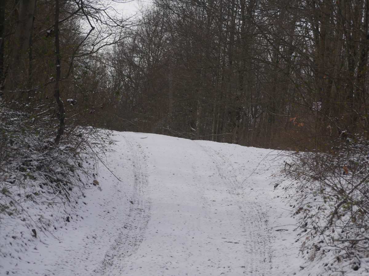 Trail 3 photo 5