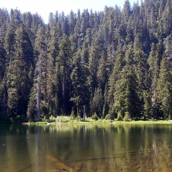 Near Crabtree Valley Hike