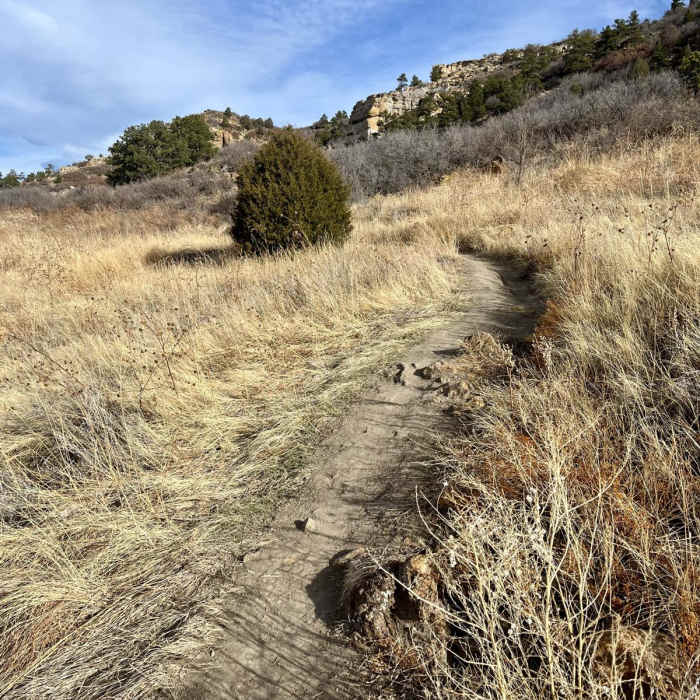 Near Palmer Point Trail
