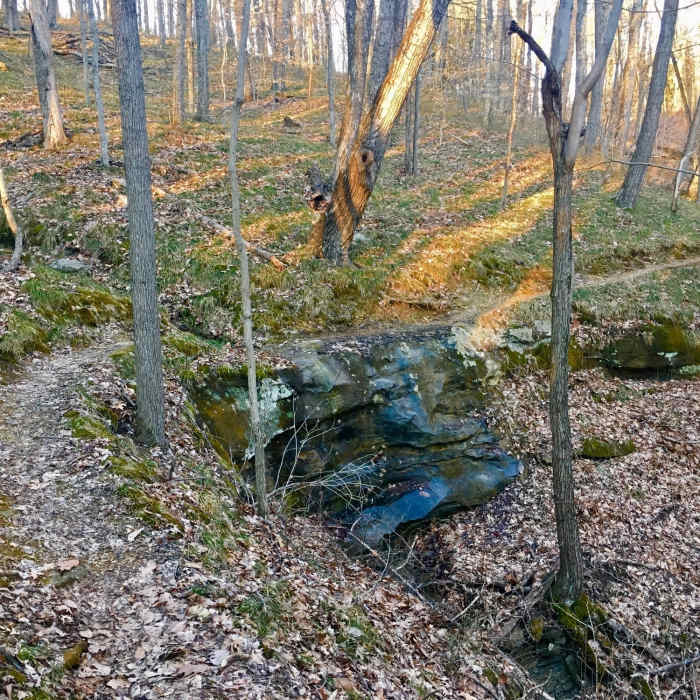 Steam and small waterfall crossing at the head of a ravine. Near Schooner Trace-Walnut Loop
