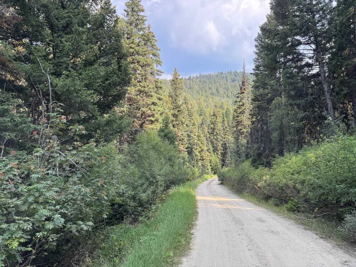 Gold Creek photo 6