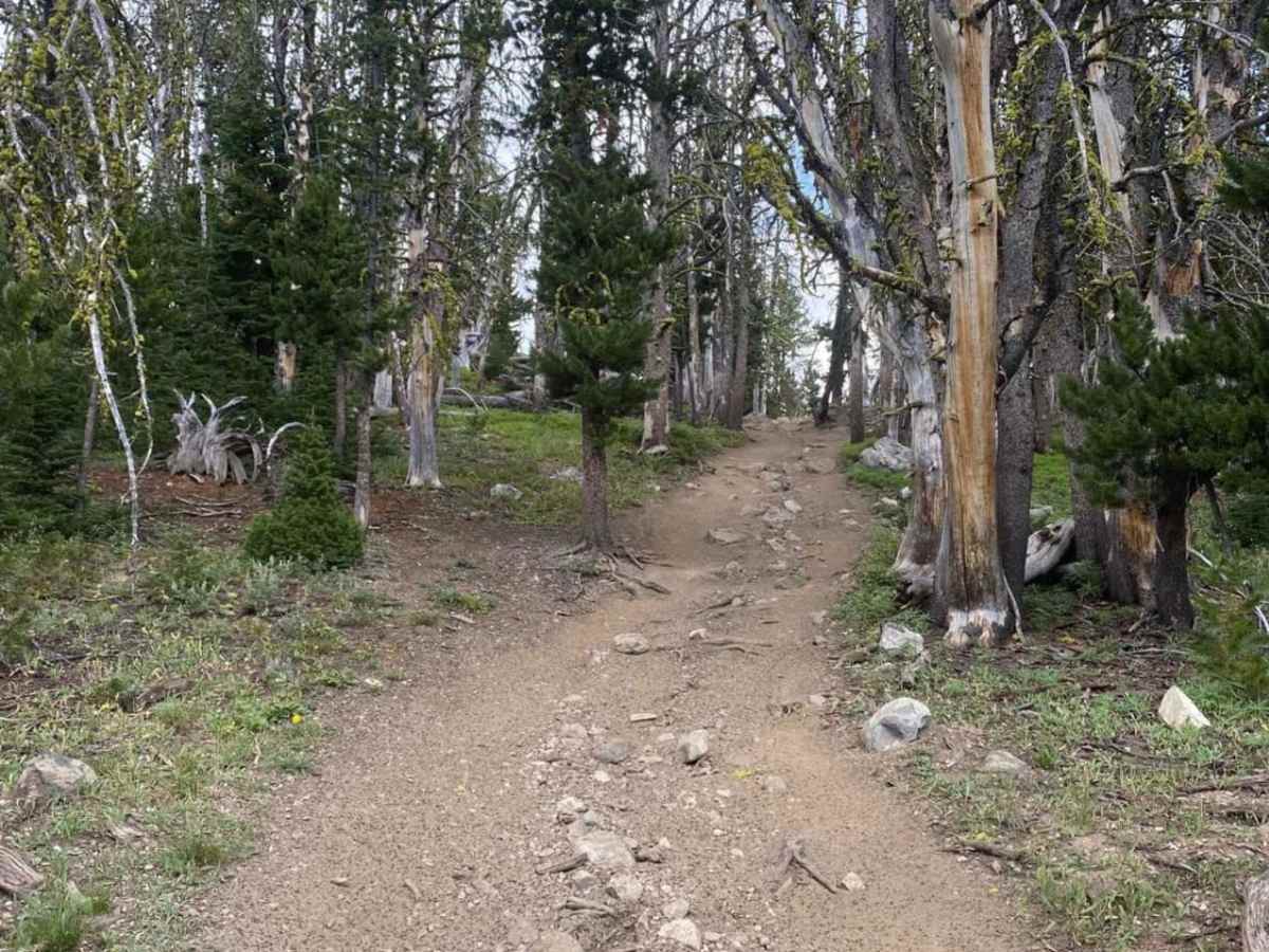 Cliff Lake Trail photo 2