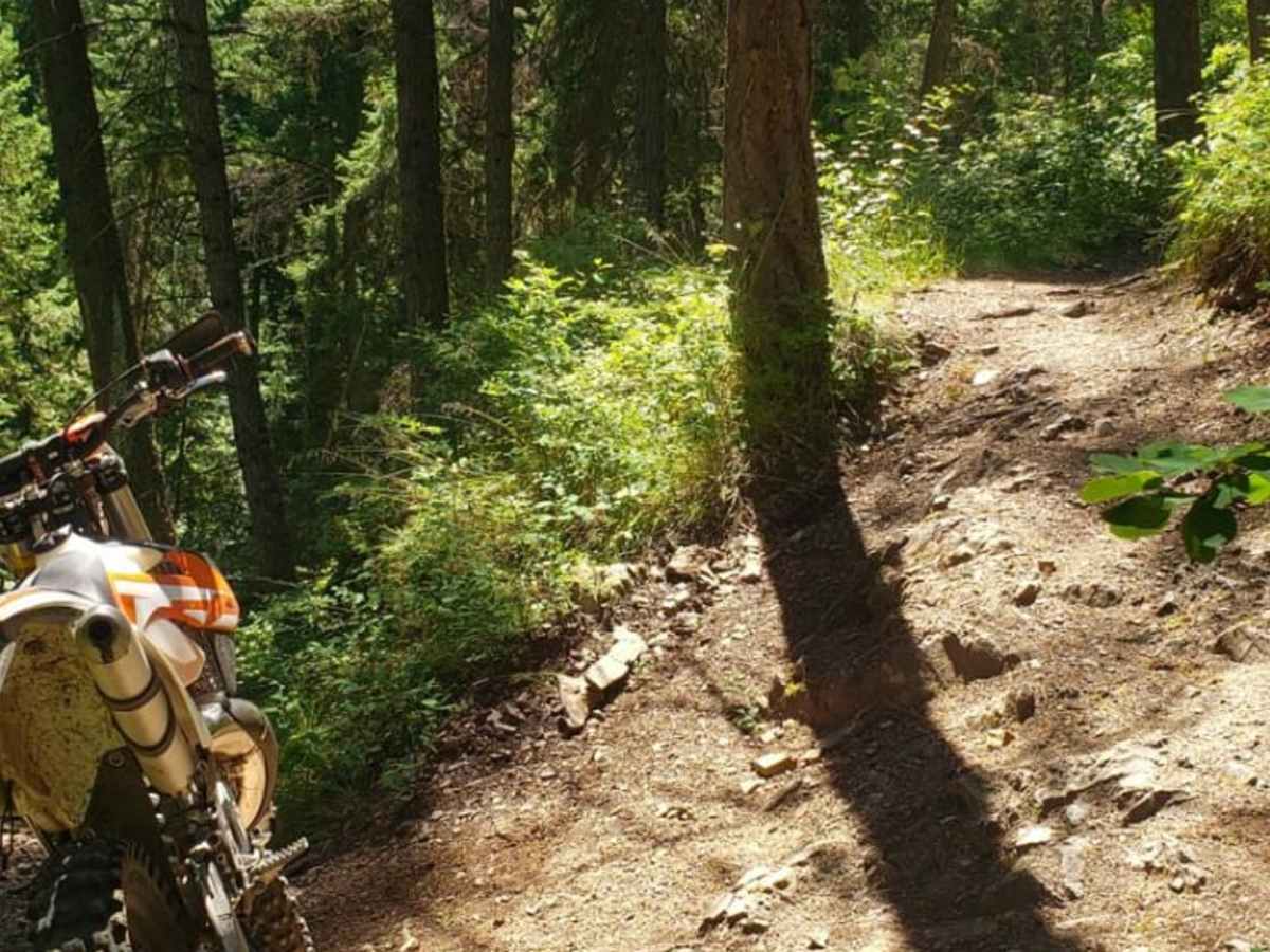 River Trail photo 5