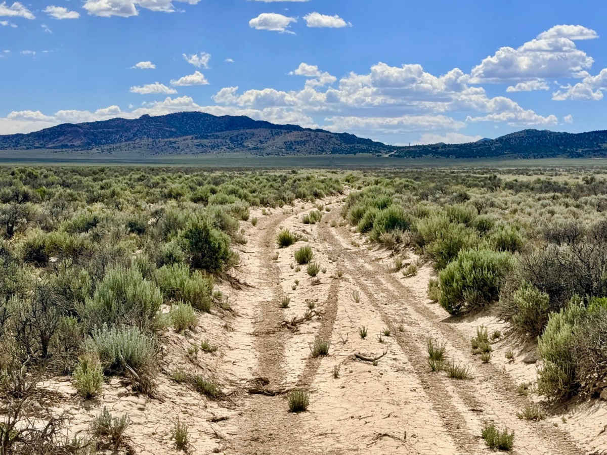 House Canyon Cutoff Road photo 3