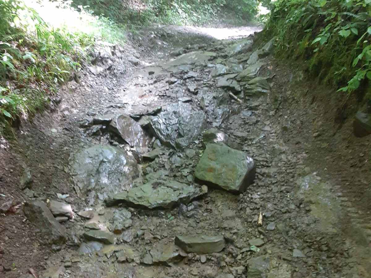 Camp Creek Trail photo 3
