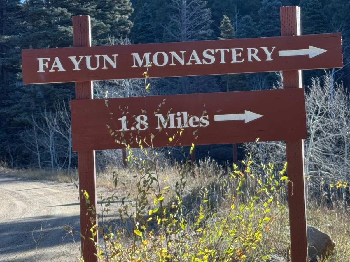 Capulin Forest Road trail photo