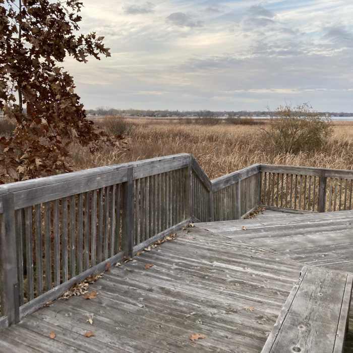 Near Elizabeth Lake Nature Preserve Loop