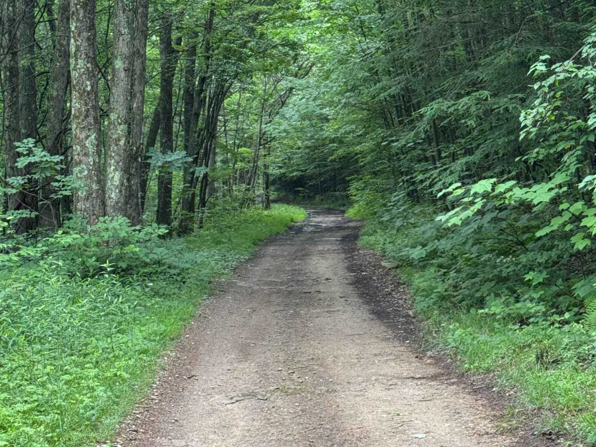 Trail 23 photo 5