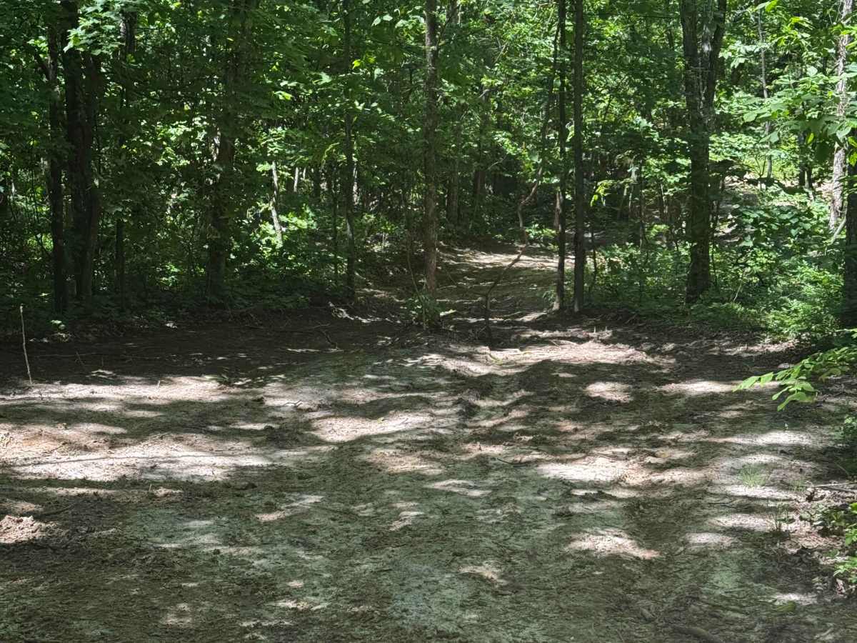 West Inner Track trail photo