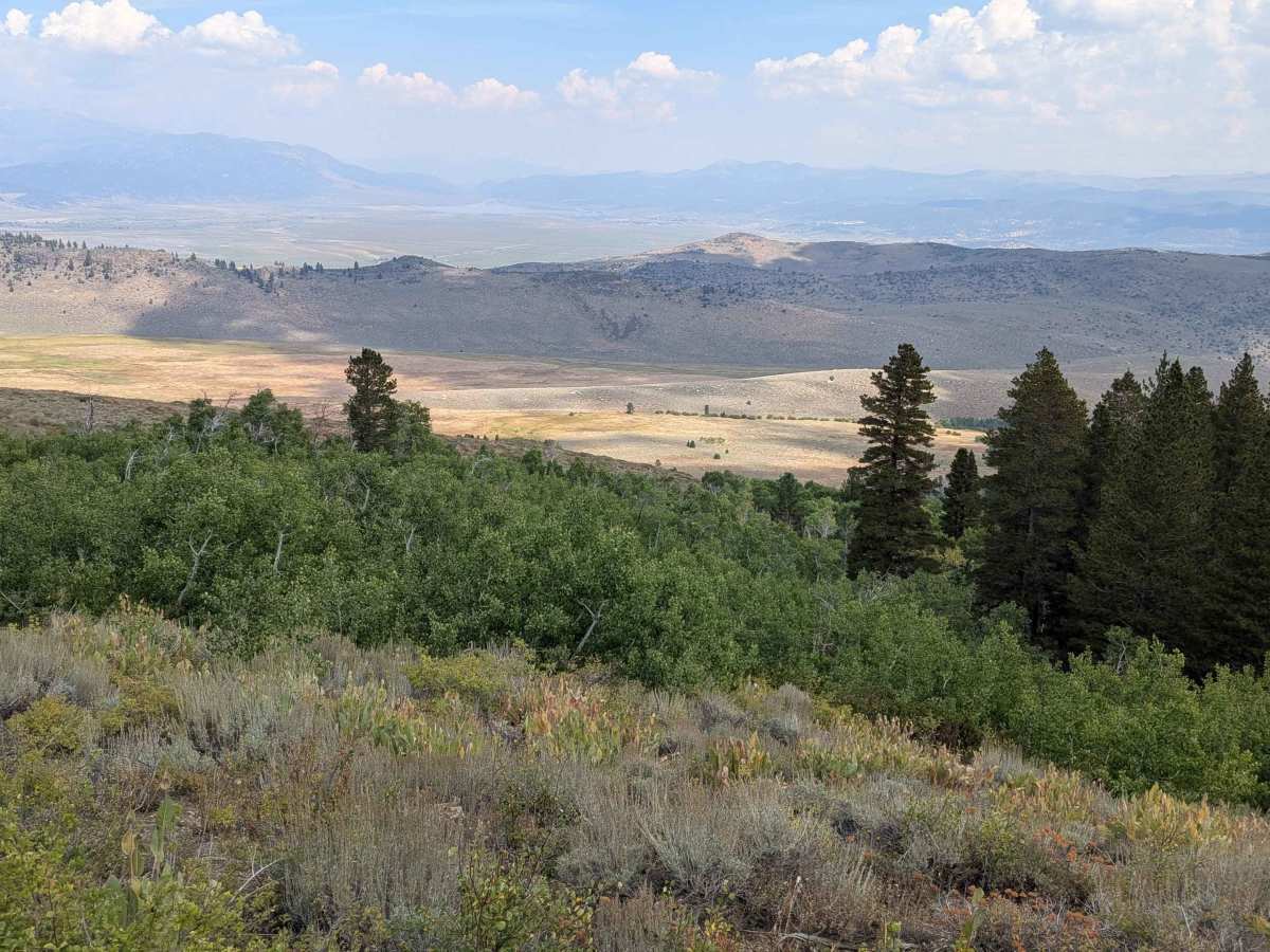 Upper Summer Meadows Road - FS 32144 photo 5