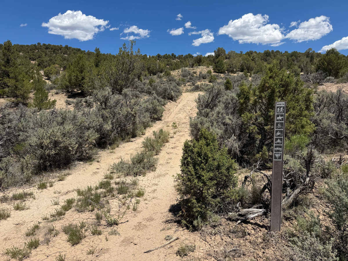 BLM 8463D photo 2